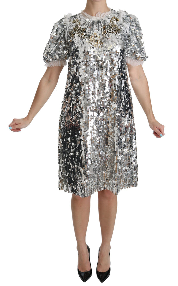 Elegant Silver A-Line Dress with Crystal Accents Dolce & Gabbana