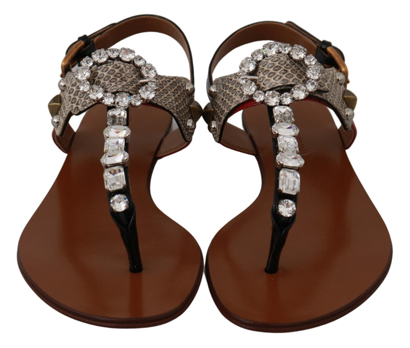 Elegant Strappy Sandals with Exotic Charm Dolce & Gabbana