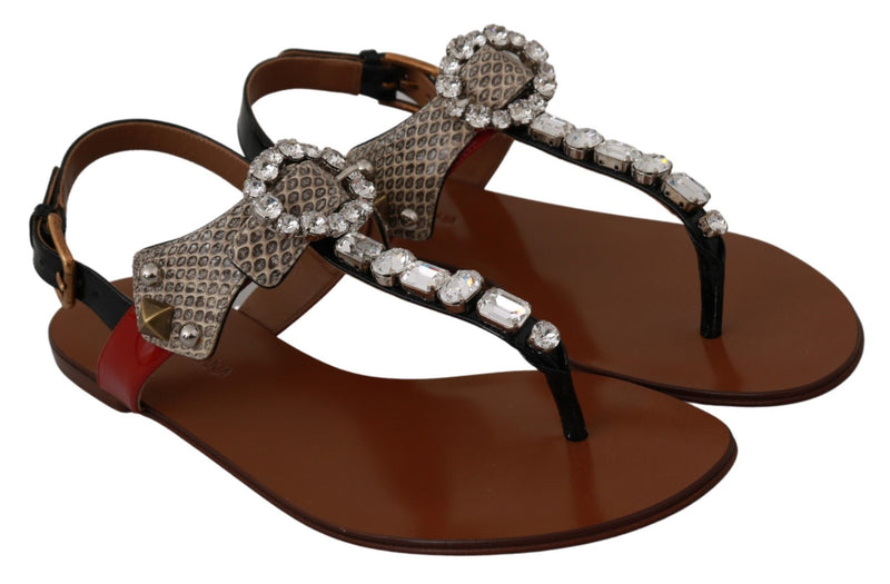 Elegant Strappy Sandals with Exotic Charm Dolce & Gabbana