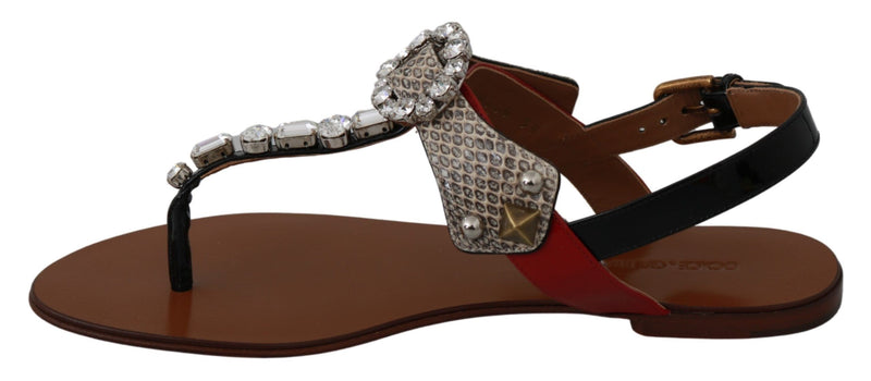 Elegant Strappy Sandals with Exotic Charm Dolce & Gabbana