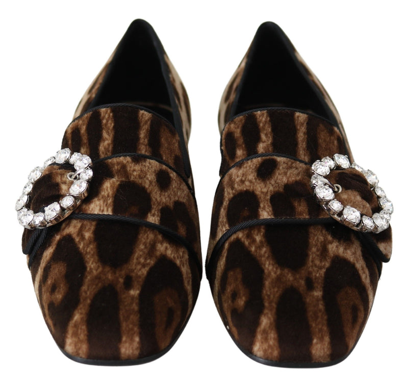 Leopard Print Crystal Embellished Loafers Dolce & Gabbana