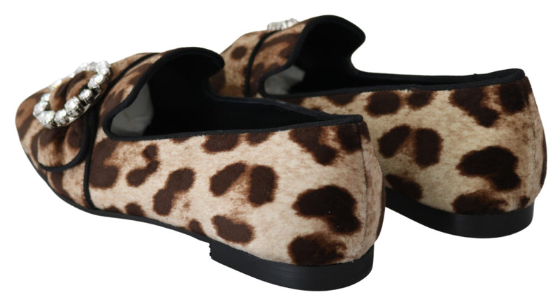 Leopard Print Crystal Embellished Loafers Dolce & Gabbana