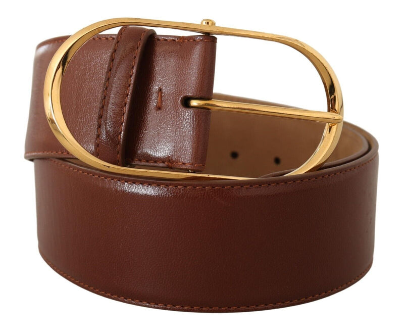 Elegant Brown Leather Belt with Gold Buckle Dolce & Gabbana