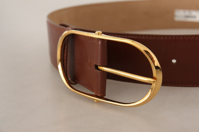 Elegant Brown Leather Belt with Gold Buckle Dolce & Gabbana