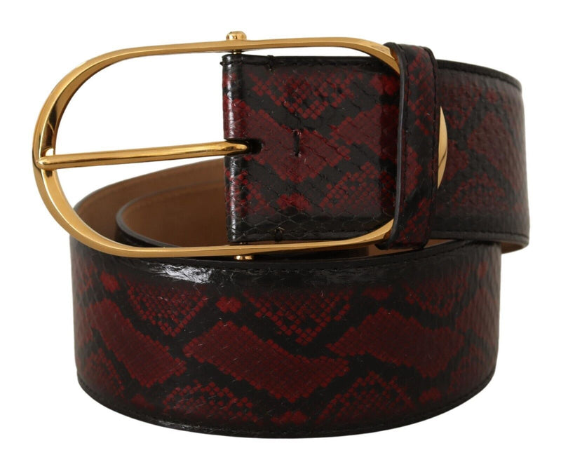 Elegant Red Python Leather Belt with Gold Buckle Dolce & Gabbana