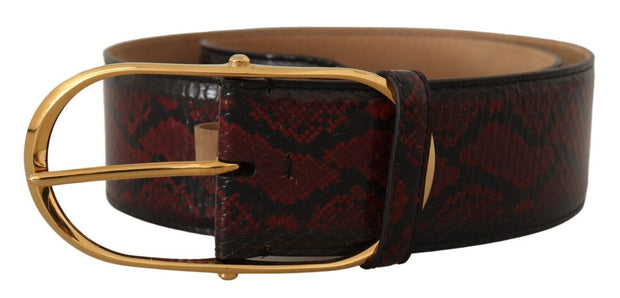 Elegant Red Python Leather Belt with Gold Buckle Dolce & Gabbana