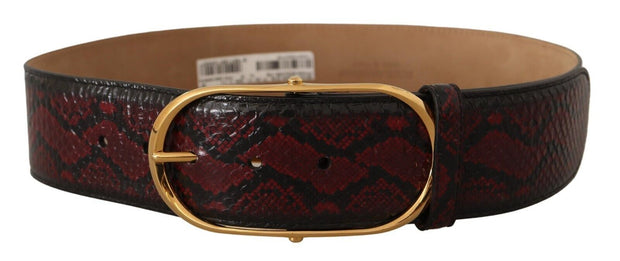 Elegant Red Python Leather Belt with Gold Buckle Dolce & Gabbana