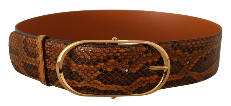 Elegant Python Skin Leather Belt Dolce & Gabbana