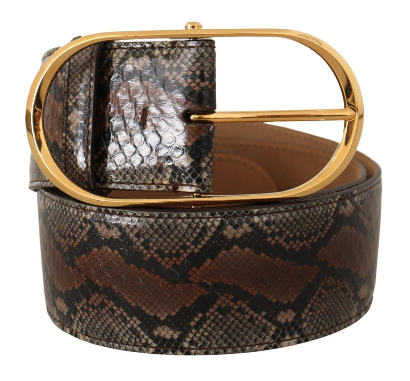 Elegant Brown Leather Belt with Gold Buckle Dolce & Gabbana