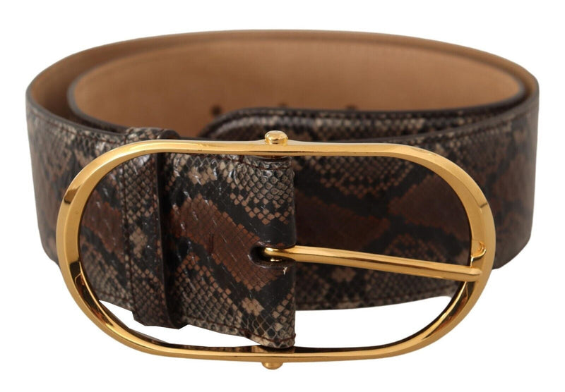 Elegant Brown Leather Belt with Gold Buckle Dolce & Gabbana