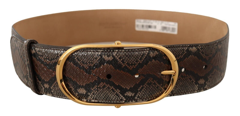 Elegant Brown Leather Belt with Gold Buckle Dolce & Gabbana