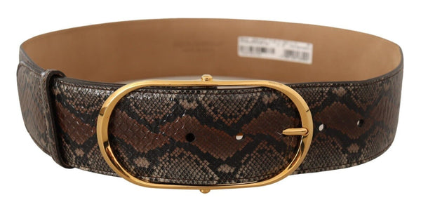 Elegant Brown Leather Belt with Gold Buckle Dolce & Gabbana