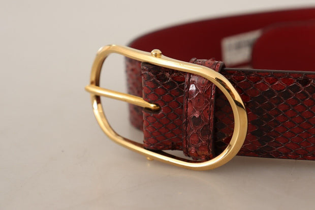 Elegant Red Snakeskin Leather Belt Dolce & Gabbana