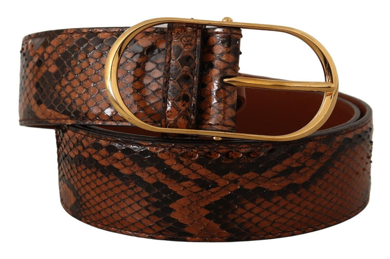 Elegant Leather Belt with Gold Buckle Dolce & Gabbana