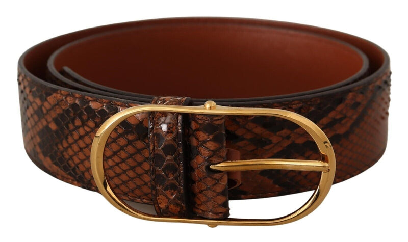 Elegant Leather Belt with Gold Buckle Dolce & Gabbana