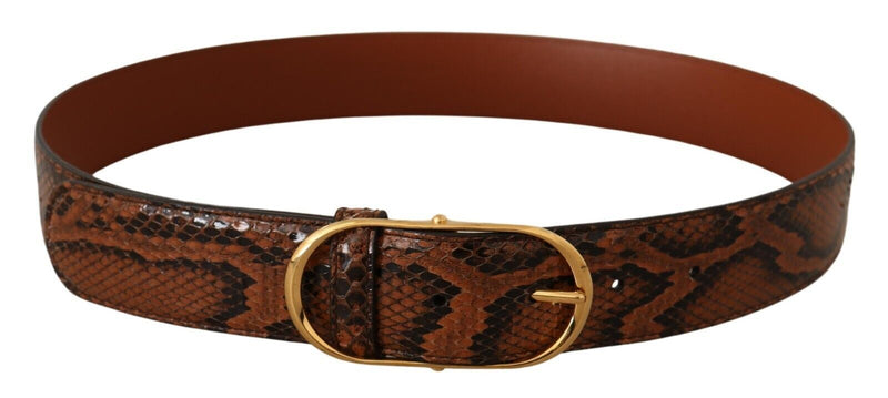 Elegant Leather Belt with Gold Buckle Dolce & Gabbana