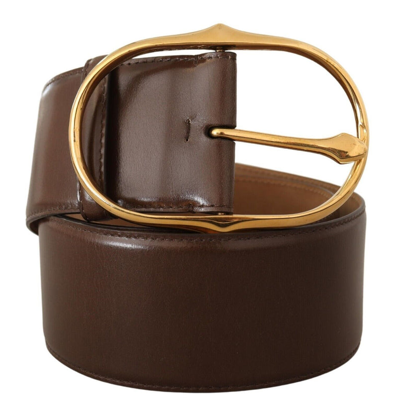 Elegant Brown Leather Belt with Gold Buckle Dolce & Gabbana