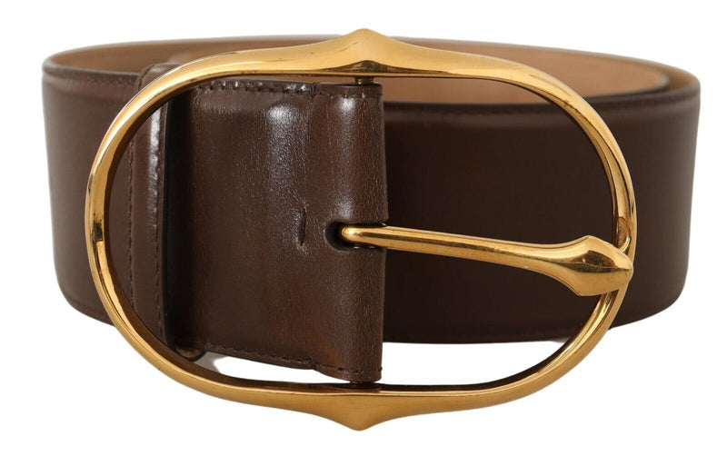 Elegant Brown Leather Belt with Gold Buckle Dolce & Gabbana