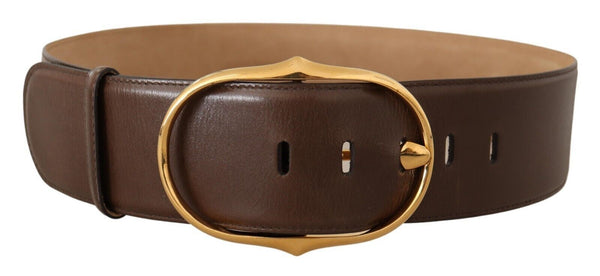 Elegant Brown Leather Belt with Gold Buckle Dolce & Gabbana