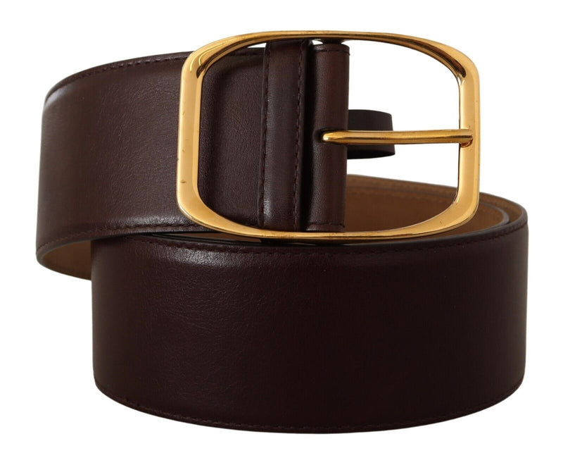 Elegant Dark Brown Leather Belt with Gold Buckle Dolce & Gabbana