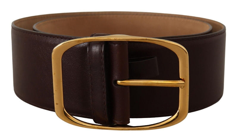 Elegant Dark Brown Leather Belt with Gold Buckle Dolce & Gabbana