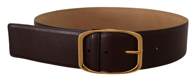 Elegant Dark Brown Leather Belt with Gold Buckle Dolce & Gabbana