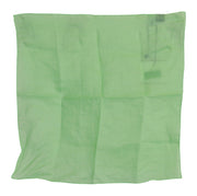 Elegant Apple Green Linen Scarf Versace