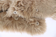 Elegant Alpaca Fur Shoulder Wrap in Beige Dolce & Gabbana