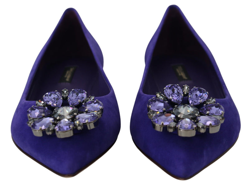 Embellished Crystal Purple Suede Flats Dolce & Gabbana