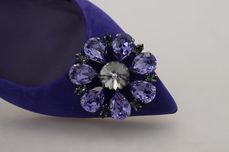 Embellished Crystal Purple Suede Flats Dolce & Gabbana