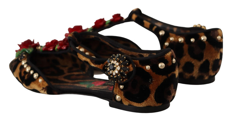 Floral Embellished Leopard T-Strap Sandals Dolce & Gabbana