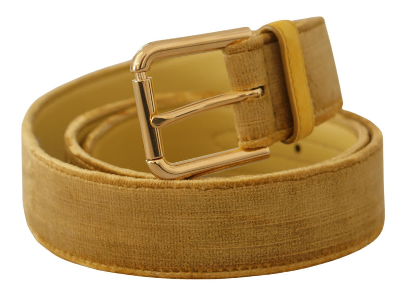 Elegant Velvet Designer Gold-Buckled Belt Dolce & Gabbana