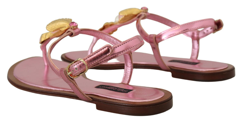 Chic Pink Leather Sandals with Exquisite Embellishment Dolce & Gabbana