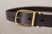 Elegant Dark Brown Leather Belt Dolce & Gabbana