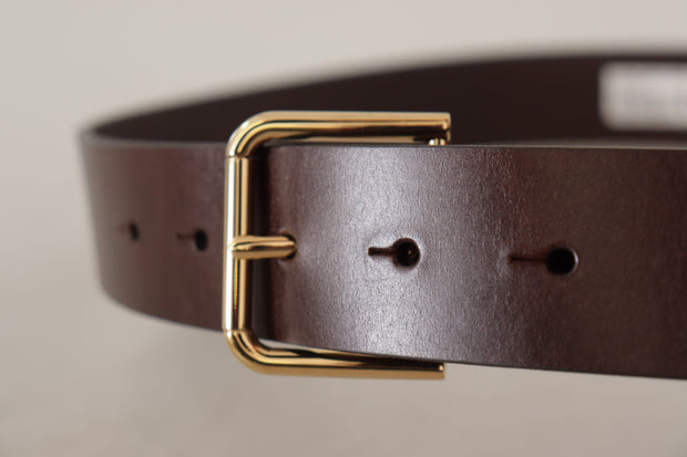 Elegant Dark Brown Leather Belt Dolce & Gabbana