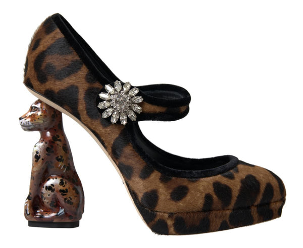 Elegant Leopard Heel Pumps for Chic Sophistication Dolce & Gabbana