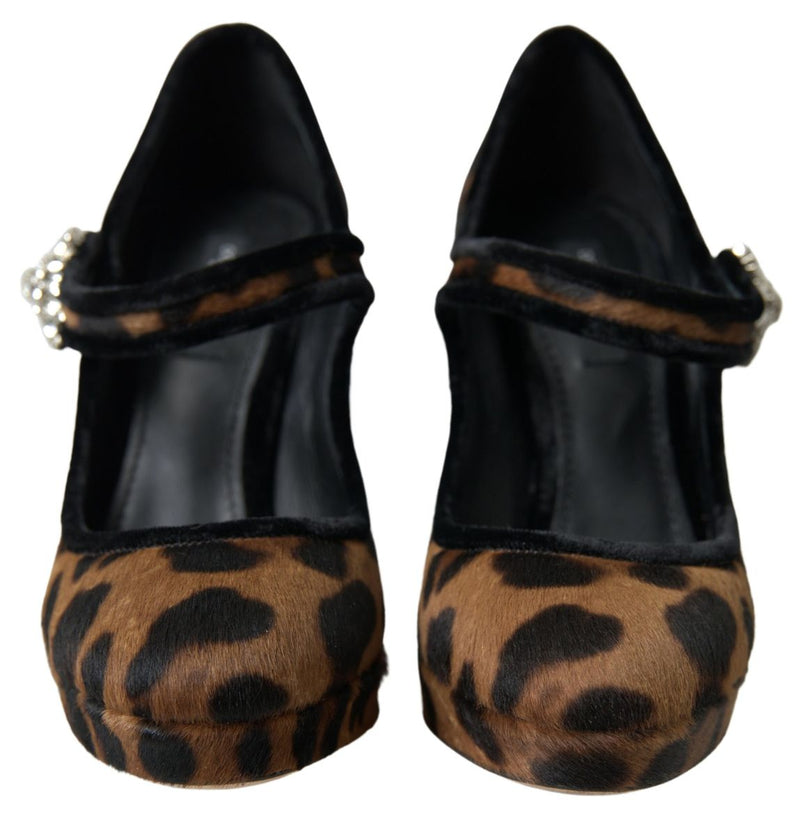 Elegant Leopard Heel Pumps for Chic Sophistication Dolce & Gabbana