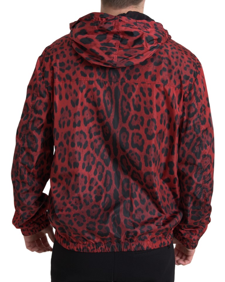 Red Leopard Hooded Bomber Jacket Dolce & Gabbana