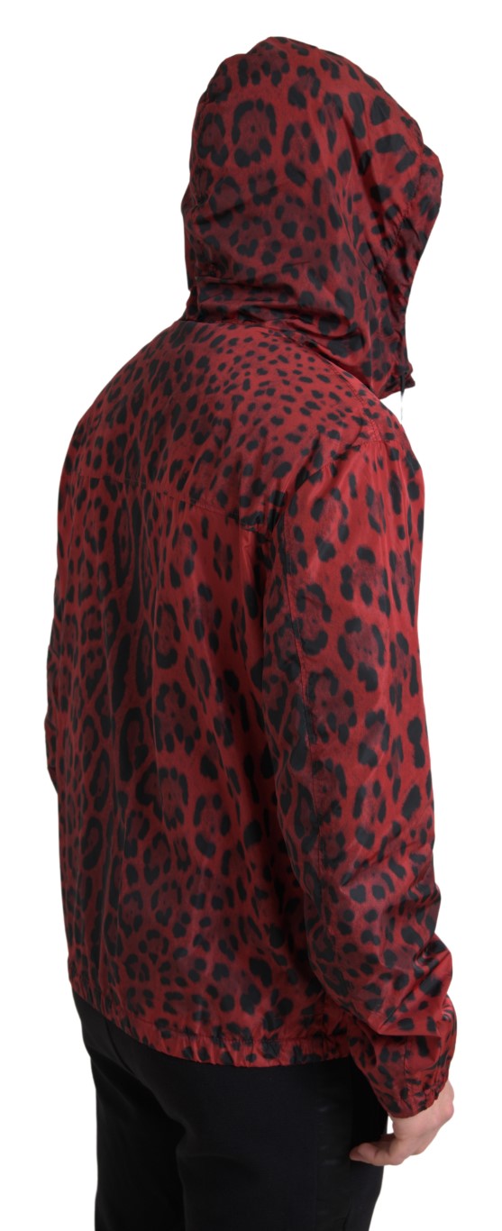 Red Leopard Hooded Bomber Jacket Dolce & Gabbana