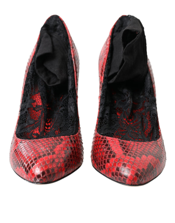 Red Almond Toe Snakeskin Pumps with Lace Socks Dolce & Gabbana