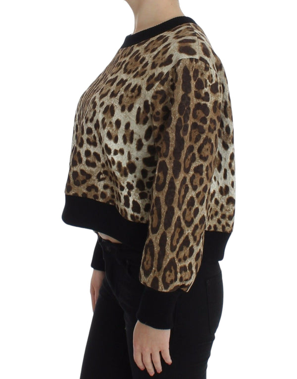 Elegant Leopard Print Short Sweater Top Dolce & Gabbana