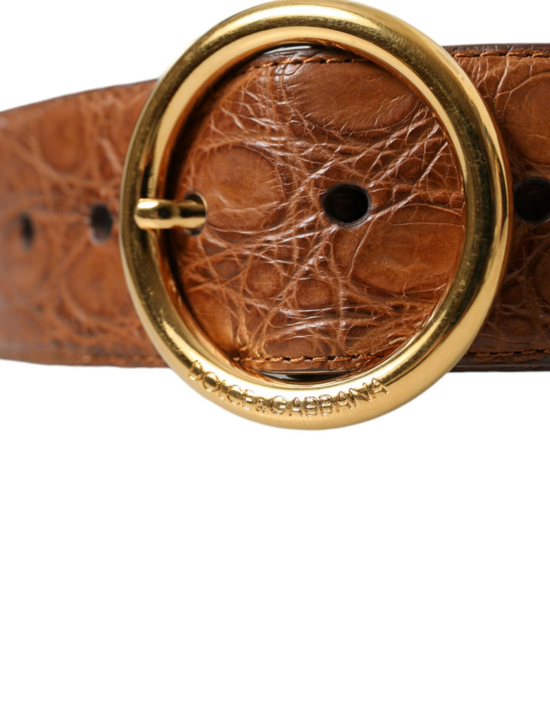 Elegant Exotic Leather Belt - Rich Brown Dolce & Gabbana