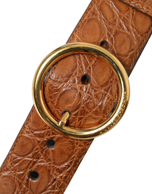 Elegant Exotic Leather Belt - Rich Brown Dolce & Gabbana