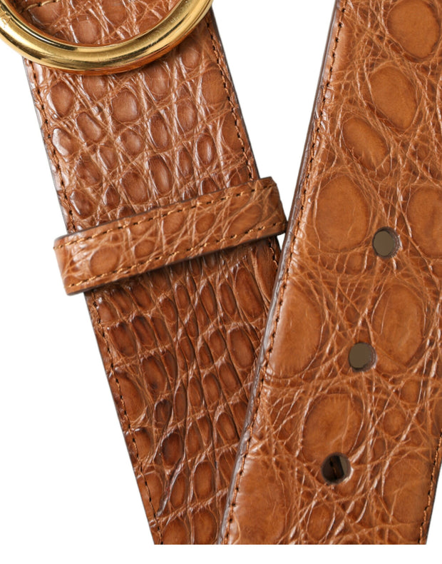 Elegant Exotic Leather Belt - Rich Brown Dolce & Gabbana