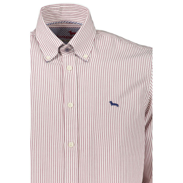 Dapper Striped Button-Down Cotton Shirt Harmont & Blaine