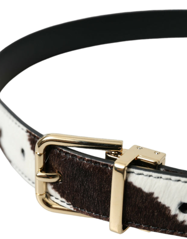 Brown White Zebra Pony Hair Gold Buckle Belt Dolce & Gabbana