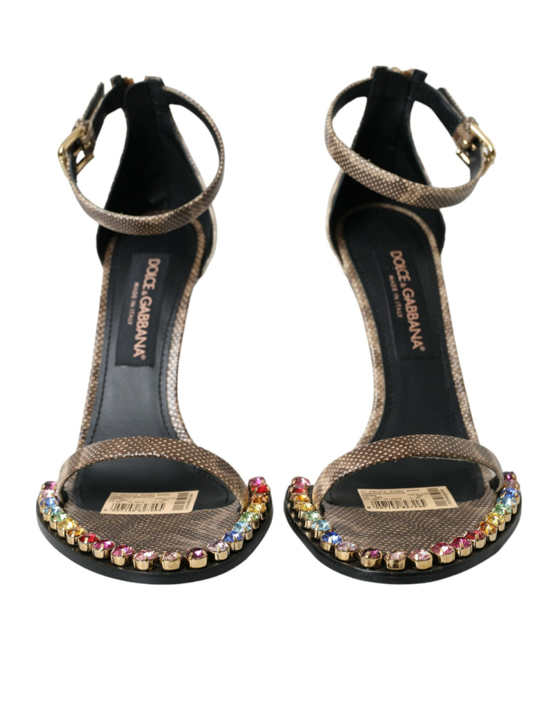 Brown Exotic Leather Crystal Sandals Shoes Dolce & Gabbana