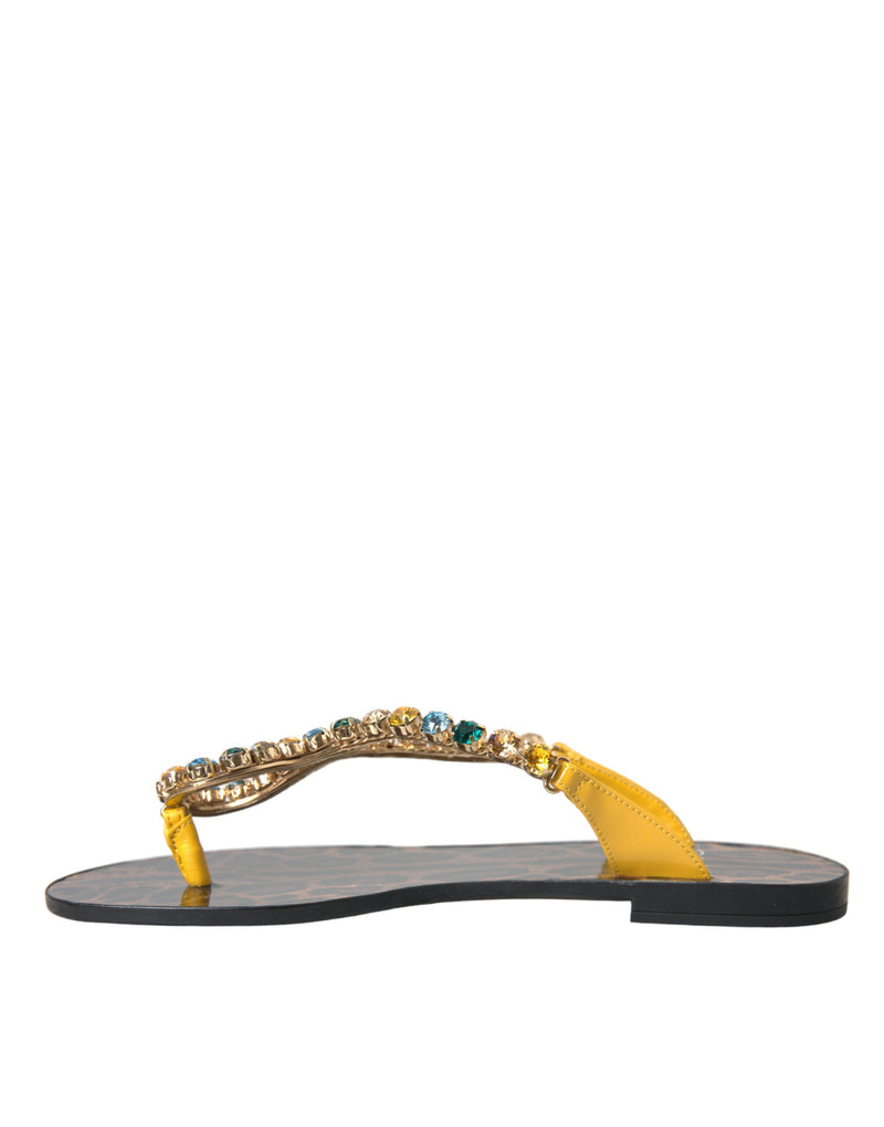 Mustard Crystal Calf Leather Beachwear Shoes Dolce & Gabbana