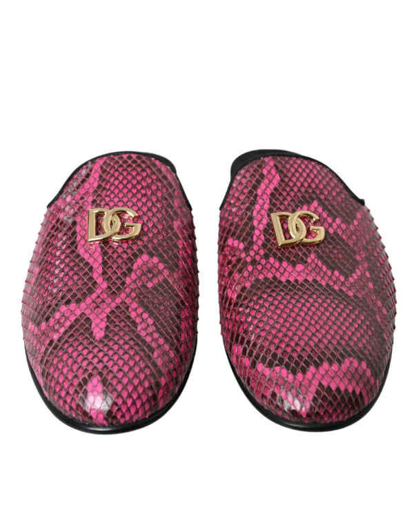 Fuchsia Python Logo Mule Flat Sandals Shoes Dolce & Gabbana