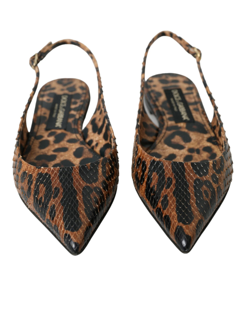 Brown Leopard Exotic Skin Slingback Shoes Dolce & Gabbana